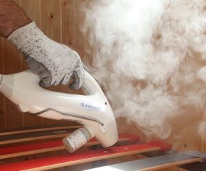 aspiradora de vapor para chinches