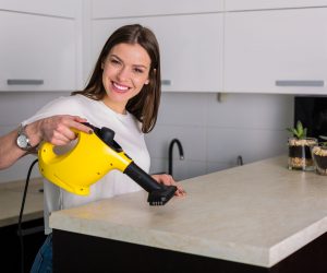 la mejor vaporeta de mano del mercado