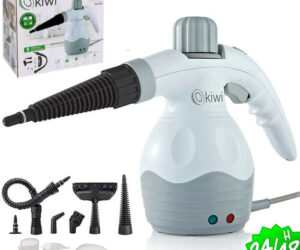 la vaporeta desinfecta