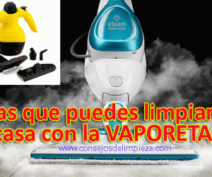 la vaporeta sirve para desinfectar