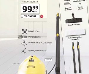 limpia vapor karcher lidl