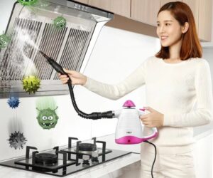 limpiador a vapor aliexpress