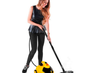 limpiador a vapor turbo action