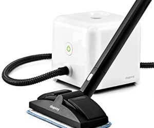 limpiador de vapor dupray