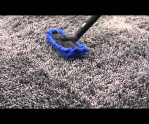 limpiar alfombra de pelo largo con vaporeta