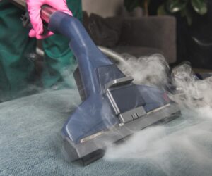 limpiar con vapor desinfecta