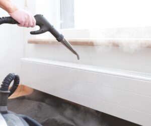 limpiar moho con vaporeta