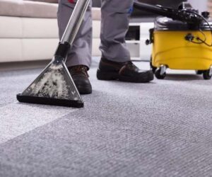 limpiar moqueta con vaporeta