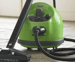 limpieza a vapor opiniones