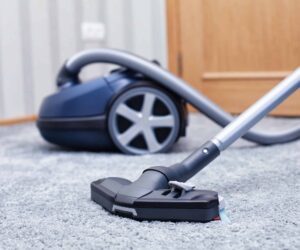 mejor limpiadora vapor