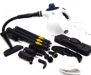 renahouse steam cleaner