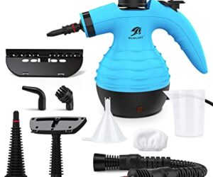 vaporeta desinfeccion