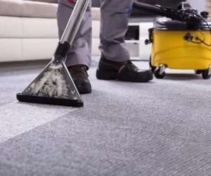 vaporeta para limpiar moquetas