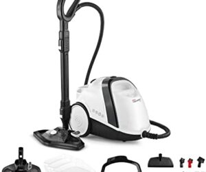 vaporeta polti smart 120