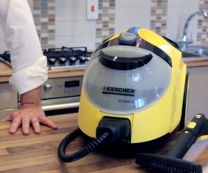 vaporetas profesionales precios