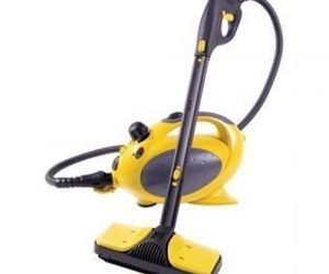 vaporetto polti pocket precio